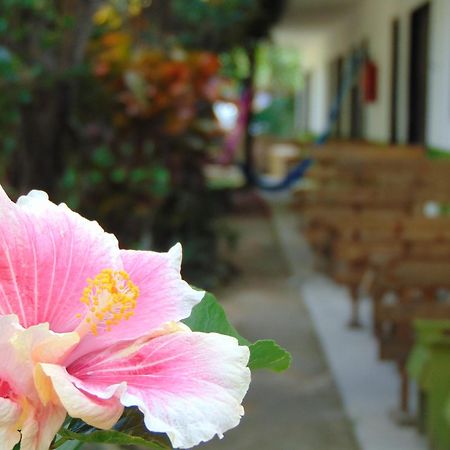 Bed and Breakfast Crucero Tulum Exteriér fotografie
